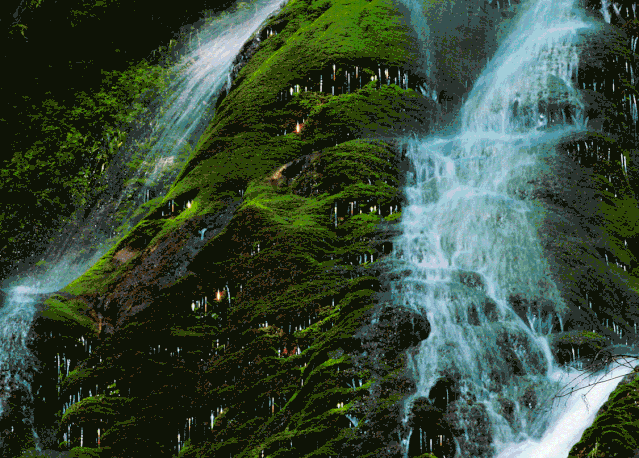 夏季旅程 邂逅大自然的绿野仙踪 这个隐藏在大城市周边的 绝美风景 每