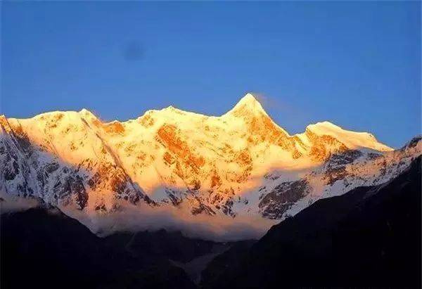 编辑区添加图片模板,点击图片区域可以更换图片。