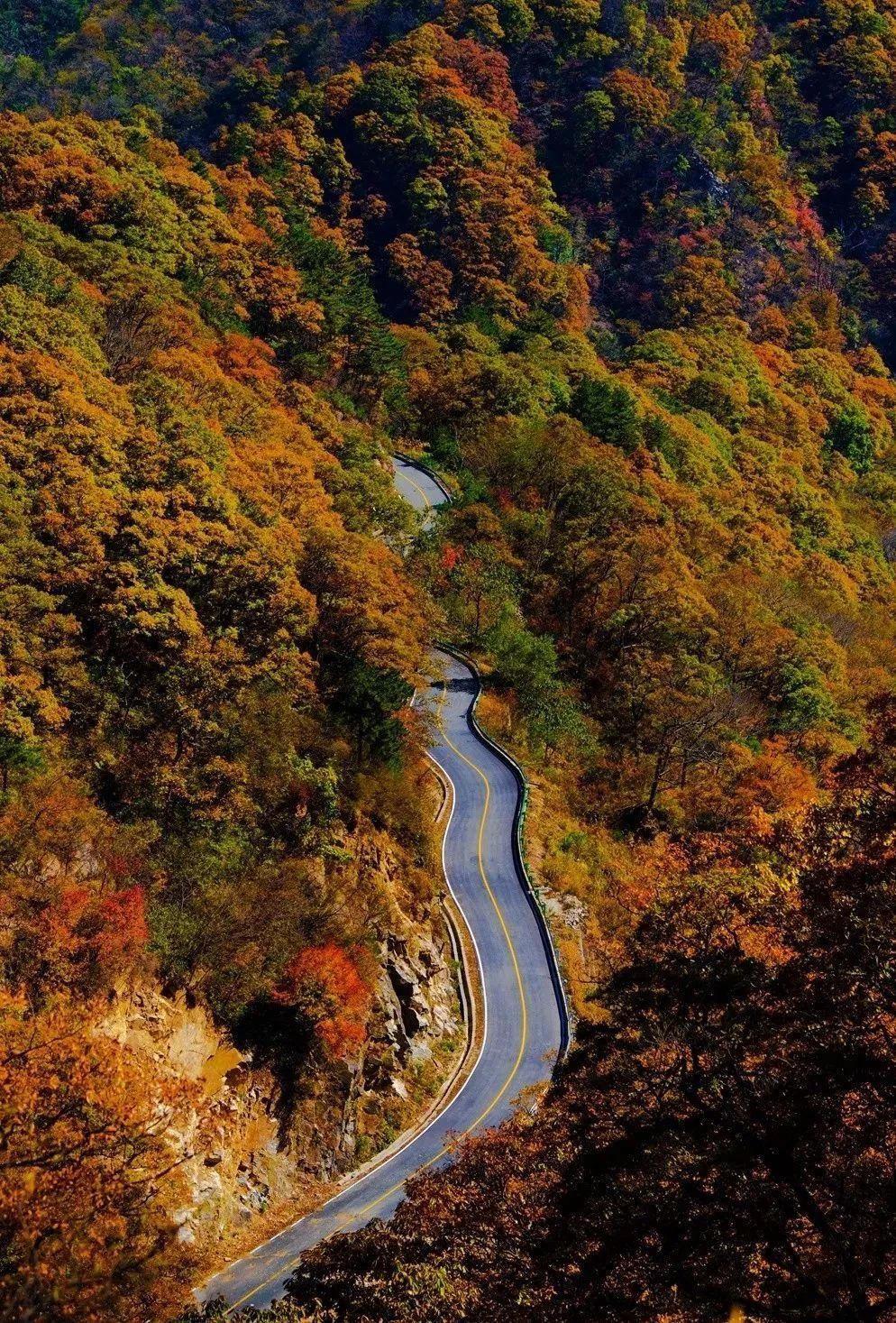 【红叶季】金秋天堂寨 红岭公路 马鬃岭 大湾村