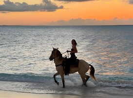 【海岸线自驾・惠州双湾】游艇出海+顶级车技+山海自驾+渔夫体验+海滩策马，承包你的速度与激情！