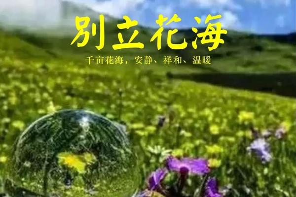 【周日丨别立牧场】（6.2）媲美九顶山！户外最新网红打卡地