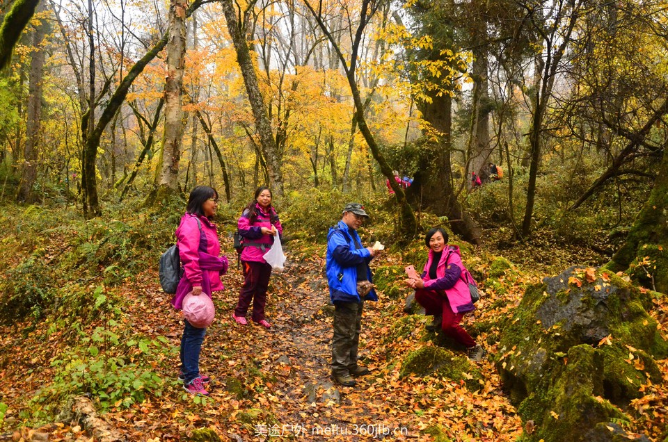 TIM图片20171227172204