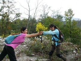 QQ图片20151201103157