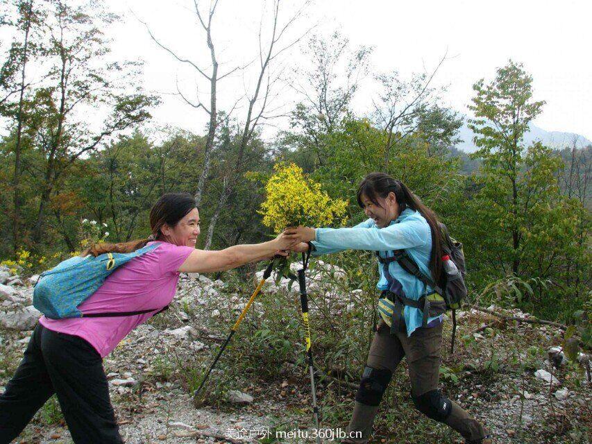 QQ图片20151201103157