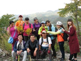 QQ图片20151201103210