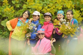 QQ图片20151201103319