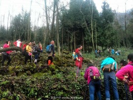 QQ图片20151210132749