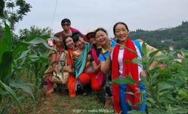 QQ图片20151210133509