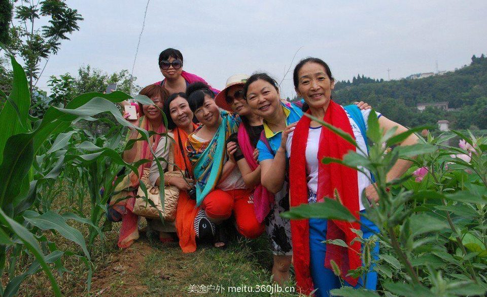 QQ图片20151210133509