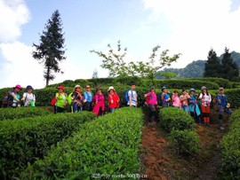 QQ图片20180511102118