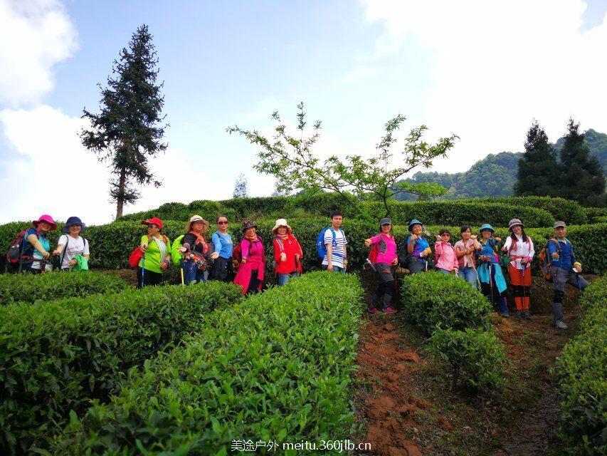 QQ图片20180511102118