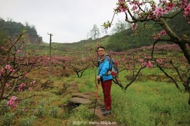 QQ图片20180511102622