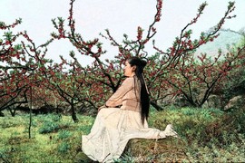 QQ图片20180511102631