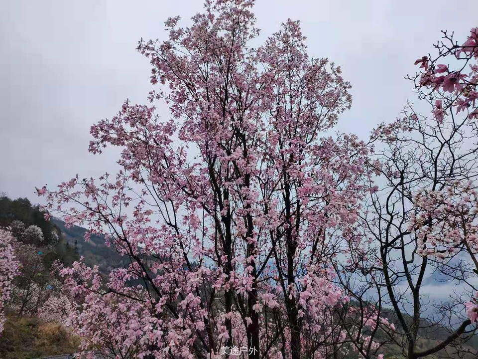 微信图片_20210310104718