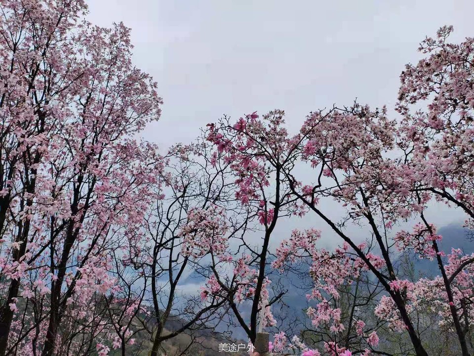 微信图片_20210310104721