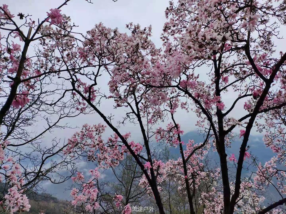 微信图片_20210310104729