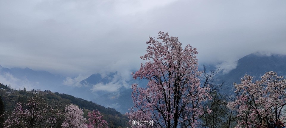 微信图片_20210310104703