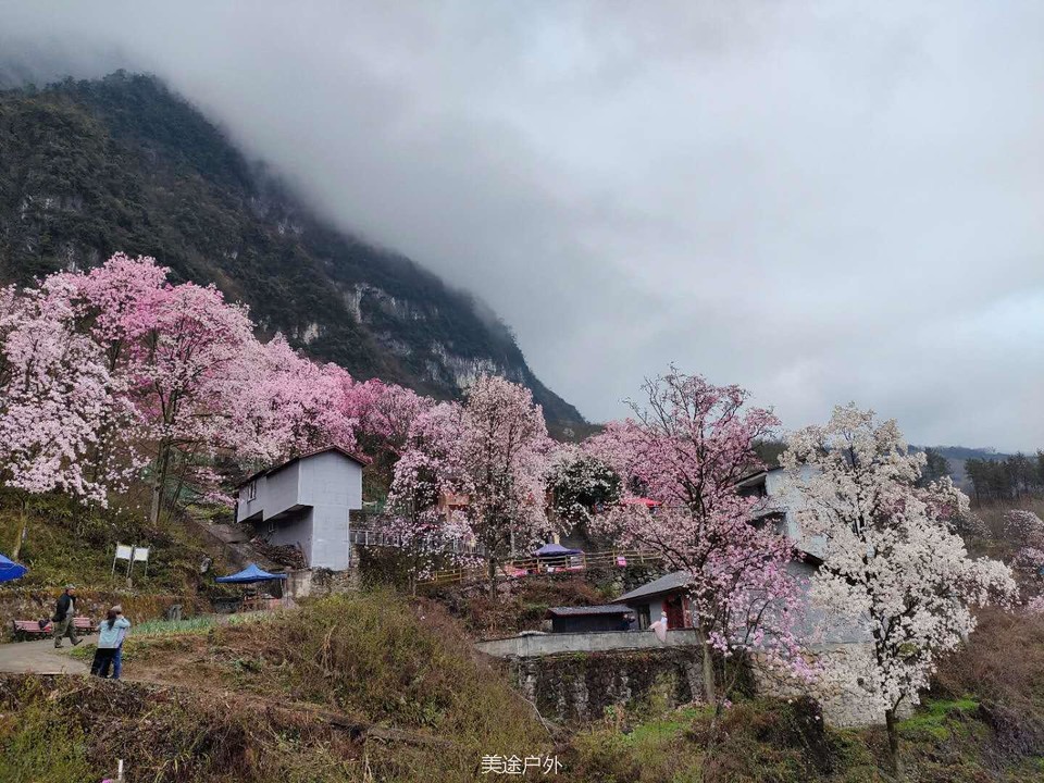 微信图片_20210310104733