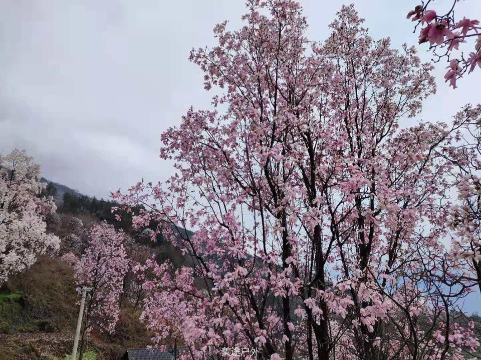 微信图片_20210310104725