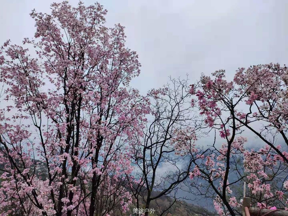 微信图片_20210310104714