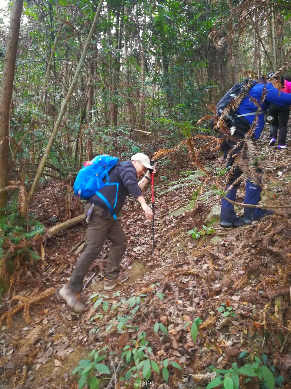 mmexport1609073556904