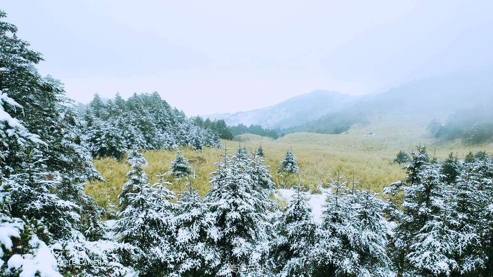 IMG_20201127_094033_副本