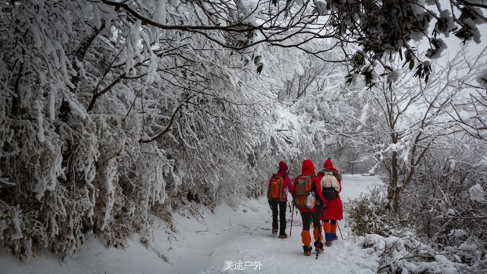 微信图片_20201217172605