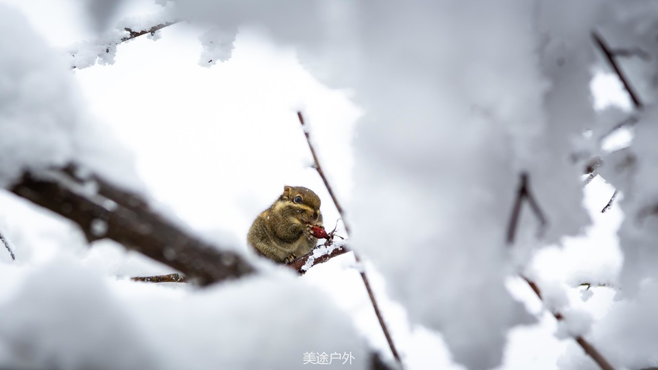 微信图片_20201217172636