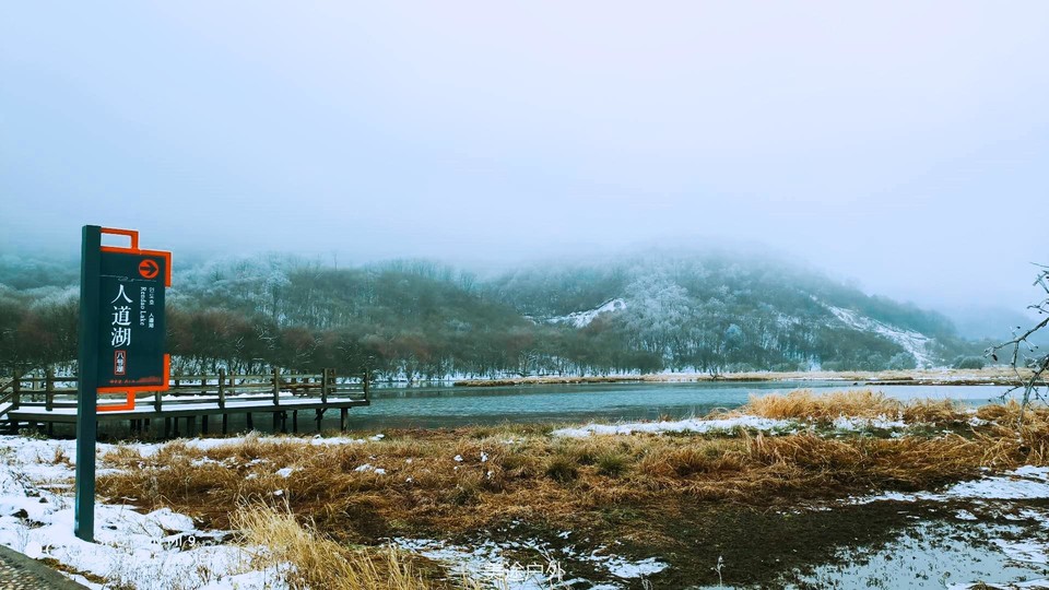 IMG_20201127_143933_副本