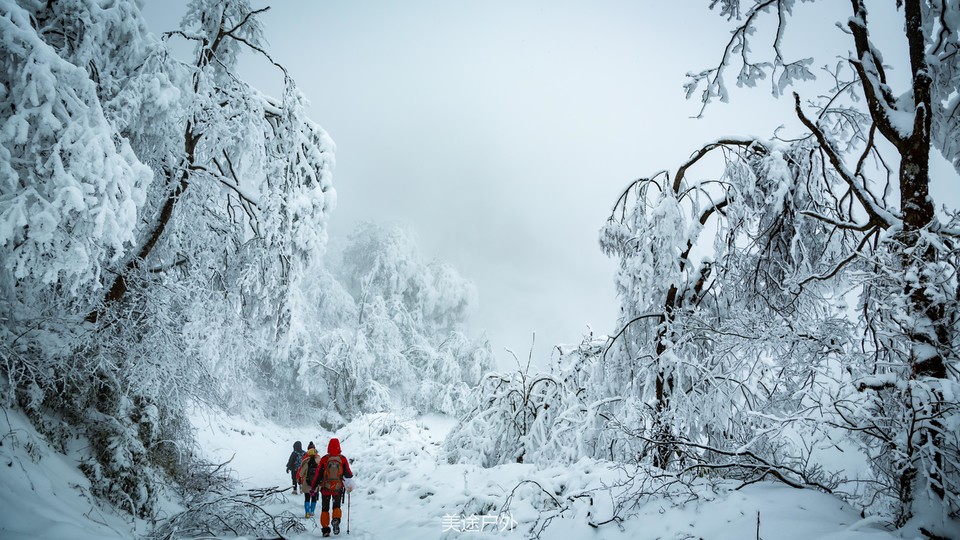 微信图片_20201217173759
