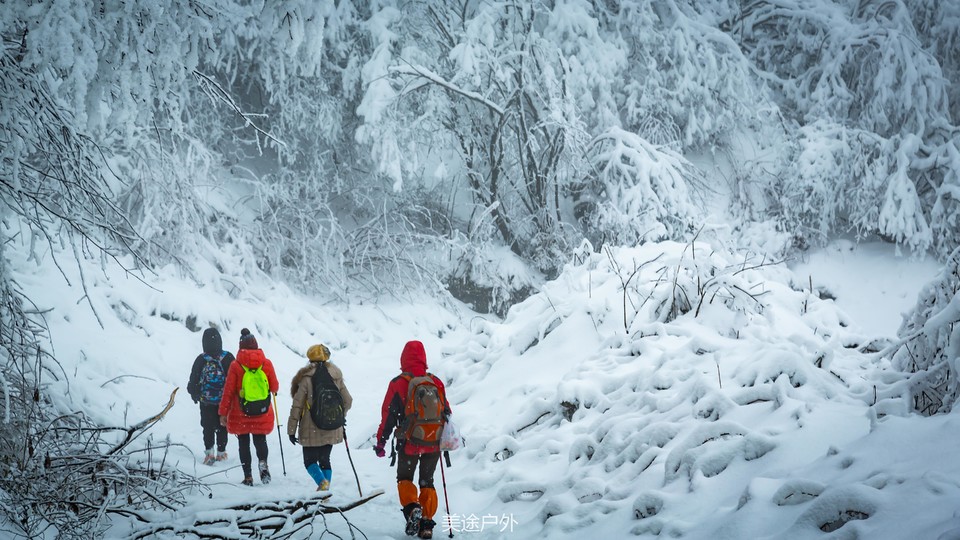 微信图片_20201217173754