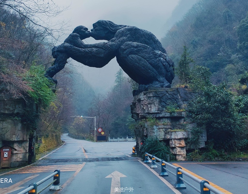 IMG_20201128_080729_副本