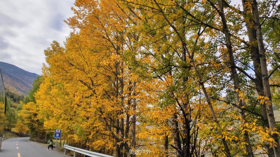 IMG_20191006_090935_爱奇艺