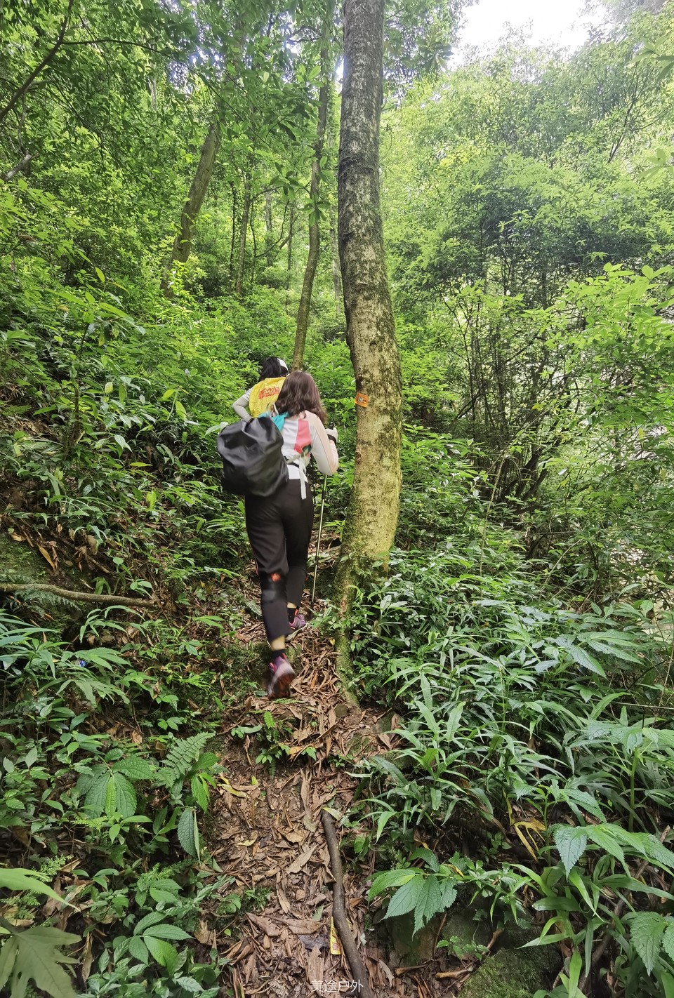 微信图片_20210606162638