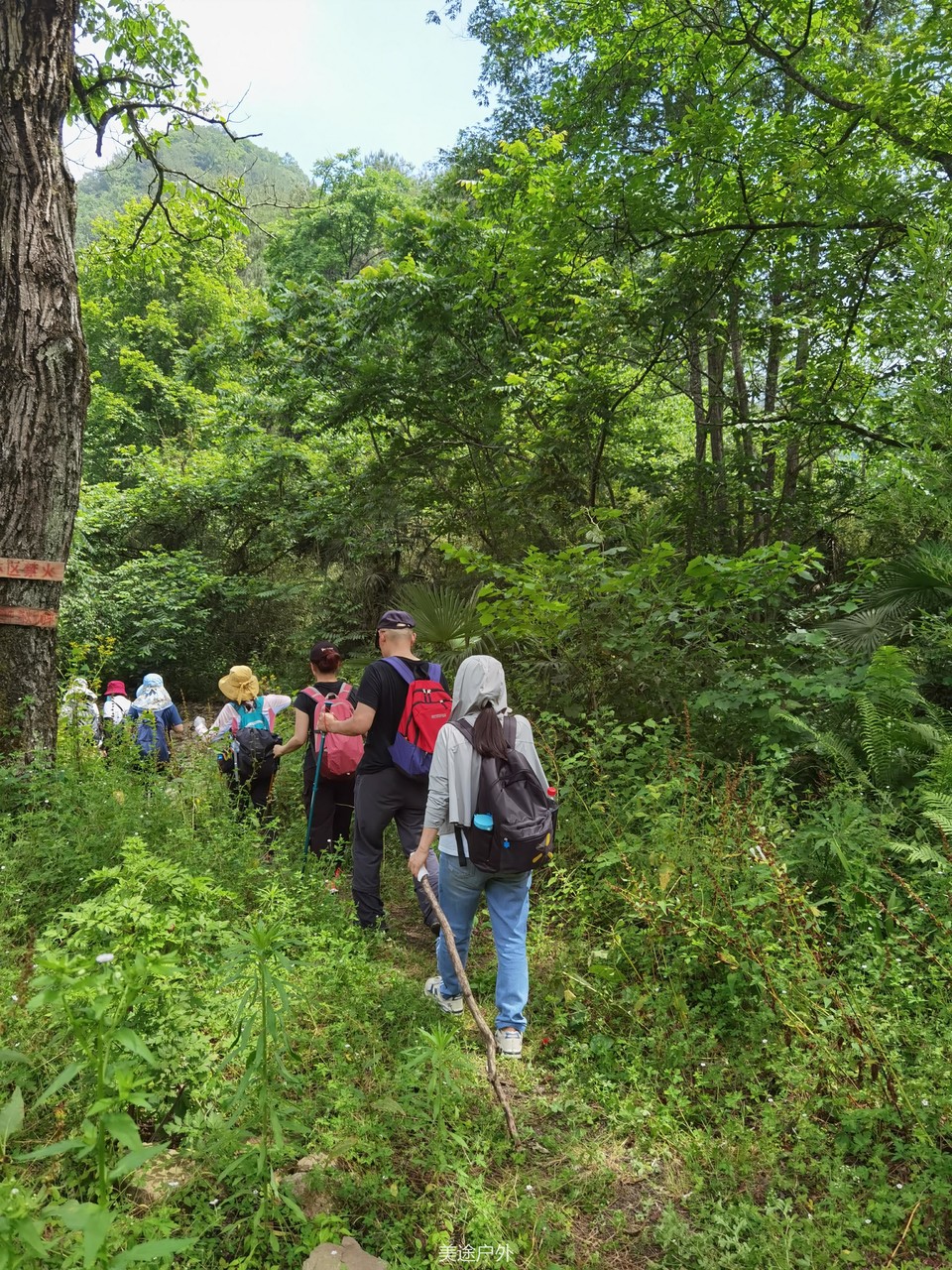 微信图片_20210606162655