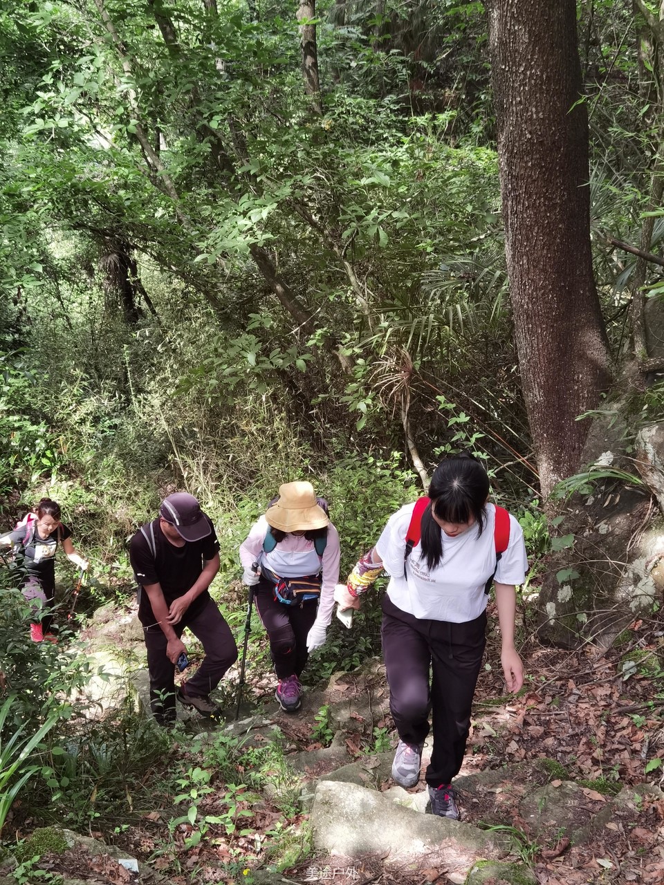 微信图片_20210606162709