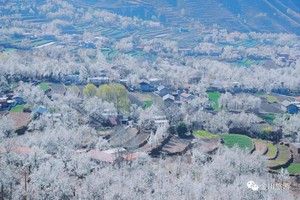 忽如一夜春风来，千树万树梨花开  大美川西～金川梨花、甲居藏寨 周末出游行摄之旅