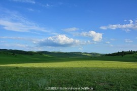 073514277w4znz6g46an4b.jpg.thumb