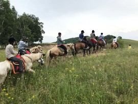 MnU8rq6di2UtCTFyakyqMGLytesY0yotXuEFzlkkIVMCu8IPX4CMNJquSDaX4XIH