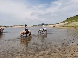 MnU8rq6di2UtCTFyakyqMLqaGIoYlRHNkTd2RHL2c4EiYTK-ZejtOMUs02QSmFCy