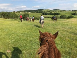 MnU8rq6di2UtCTFyakyqMLHRCKcCaiX8A9ZZlOwikOqP4-U_2mkaBGWAmgEm5bVF