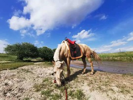 MnU8rq6di2UtCTFyakyqMNEIAGhmRaZTGgnn-eSU_NYGbkSS73KXgx5G6DQHUXso