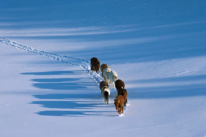 元旦3日｜乌兰布统｜塞北雪乡-皑皑白雪之美-越野车全程穿越之旅