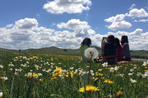 端午3日｜•乌兰布统｜影视基地-将军泡子-公主湖-越野车深入草原腹地-篝火狂欢