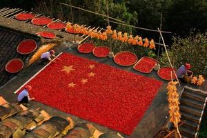 周末2日｜ 婺源赏秋A｜休闲行の打卡婺女洲-篁岭晒秋-石城晨雾-菊径村-虹关村-察关村