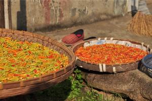 2日｜ 徽州秋色｜皖秋の呈坎秋韵-塔川晒秋-画里宏村-屯溪老街｜秋摄醉美徽州古韵