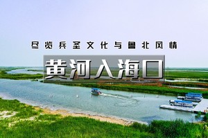端午3天｜ 黄河入海口｜赏黄河口奇观“鸳鸯锅”の孤东海堤-清风湖-孙武古城-黄河楼-魏氏庄园