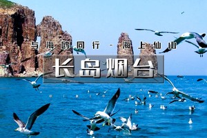 4天｜ 长岛烟台｜与海鸥同行の深度游长岛-蓬莱仙境-打卡网红养马岛-文成城堡