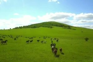 达达线——乌兰布统