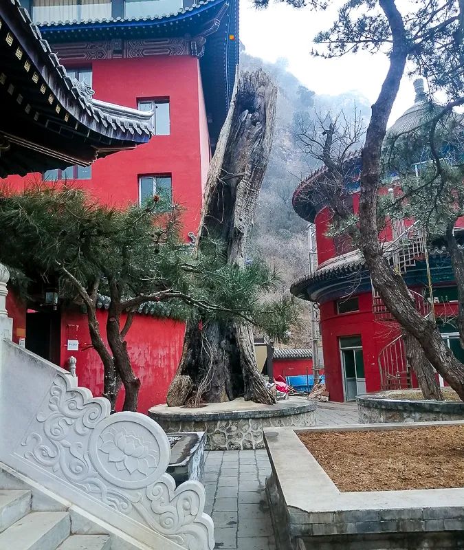 微信图片_2021121317593023.jpg